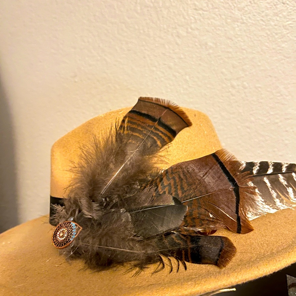 Hat band/feathers
